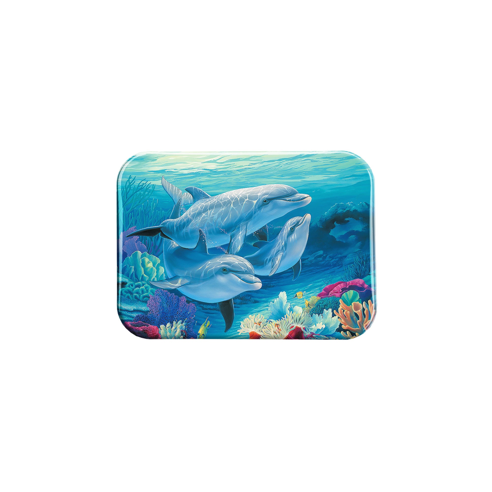 "For Dolphin Lovers" - 2.5" X 3.5" Rectangle Fridge Magnets