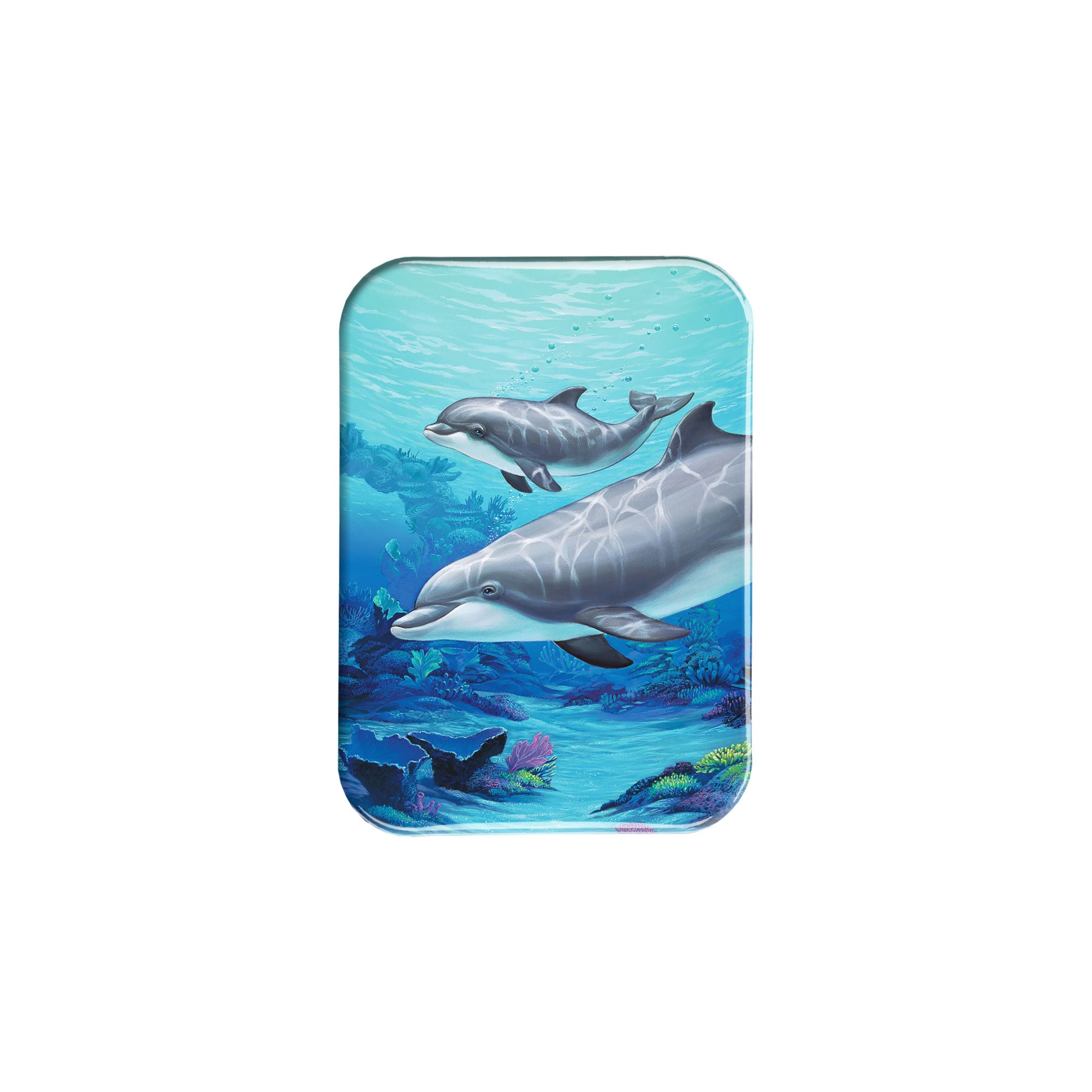 "Dolphin And Baby" - 2.5" X 3.5" Rectangle Fridge Magnets