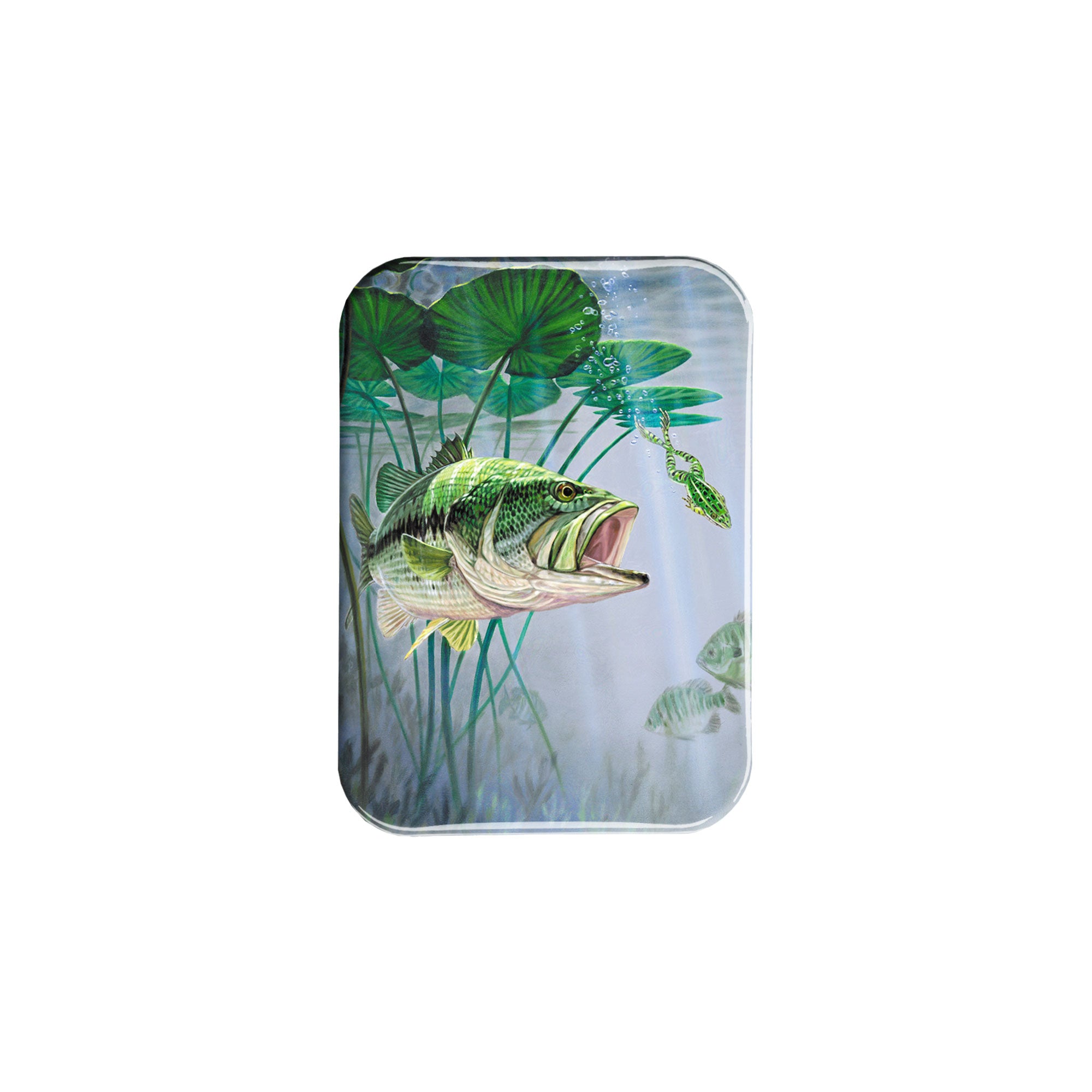 "Bass And Leopard Frog" - 2.5" X 3.5" Rectangle Fridge Magnets