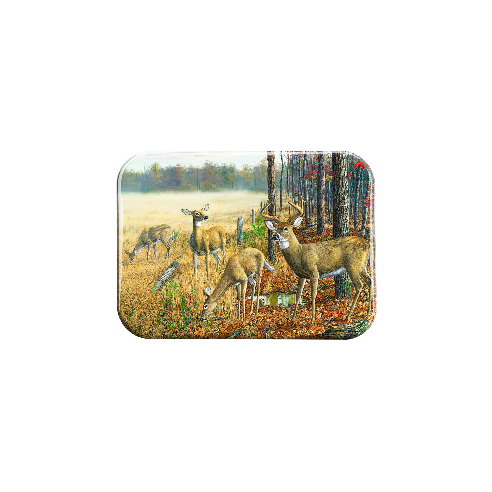 "A Brand New Day" - 2.5" X 3.5" Rectangle Fridge Magnets
