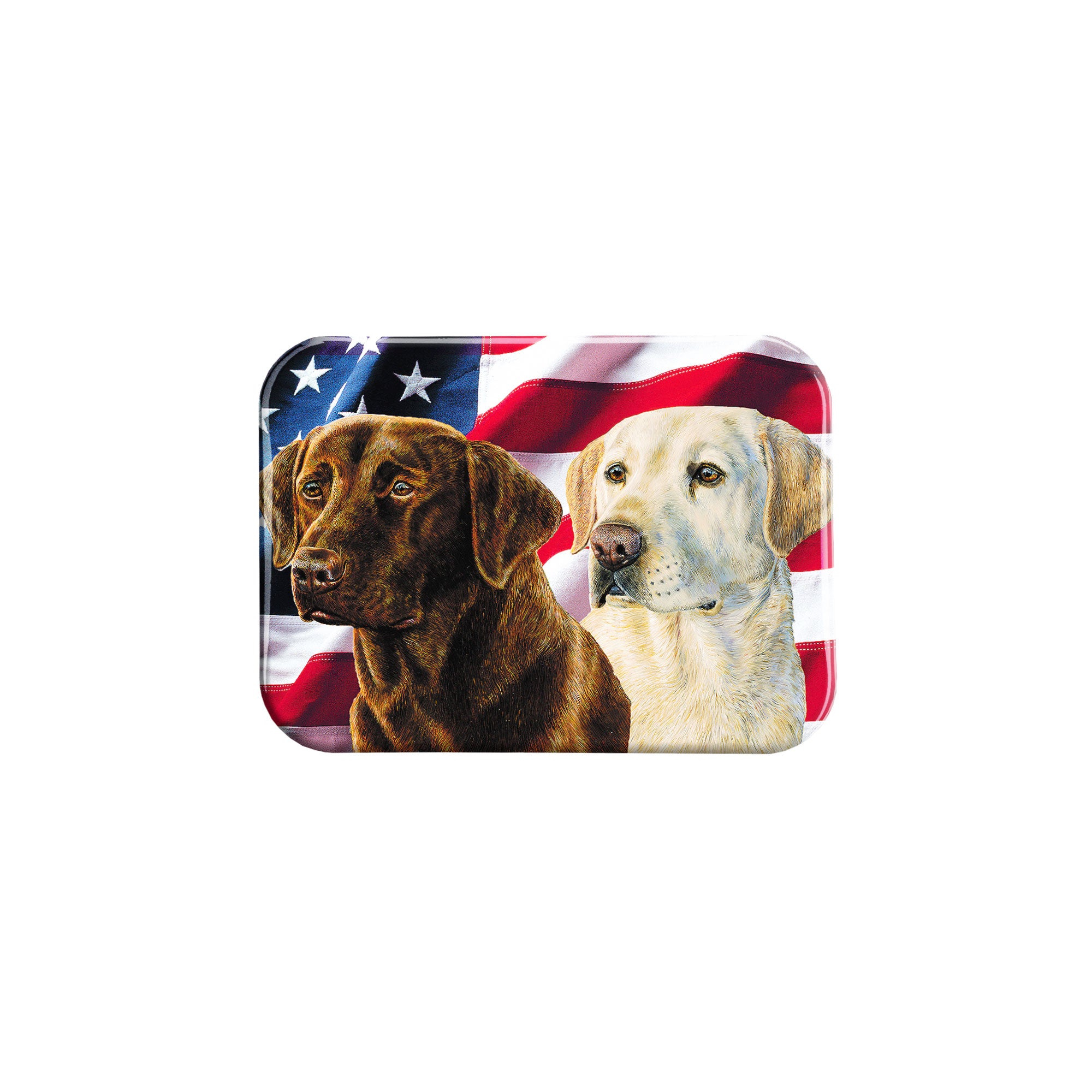 "American Chocolate and Yellow Lab" - 2.5" X 3.5" Rectangle Fridge Magnets
