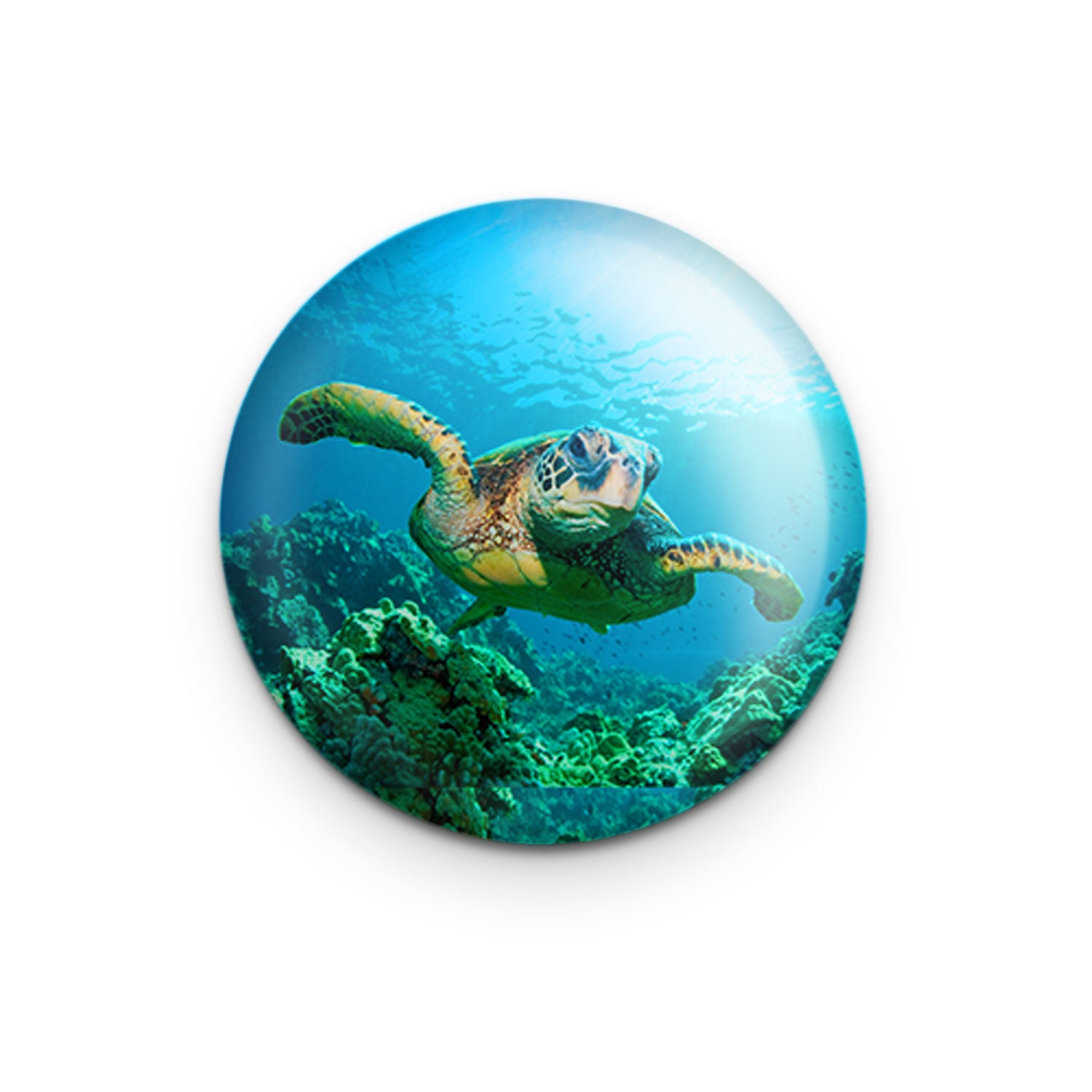 "Sea Turtle" - 1" Round Pinback Button