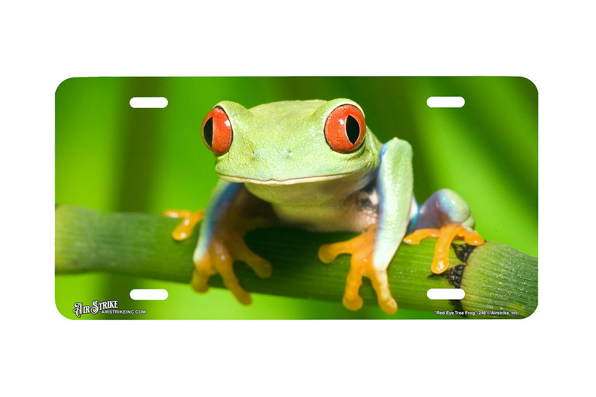 "Red Eye Tree Frog" - Decorative License Plate