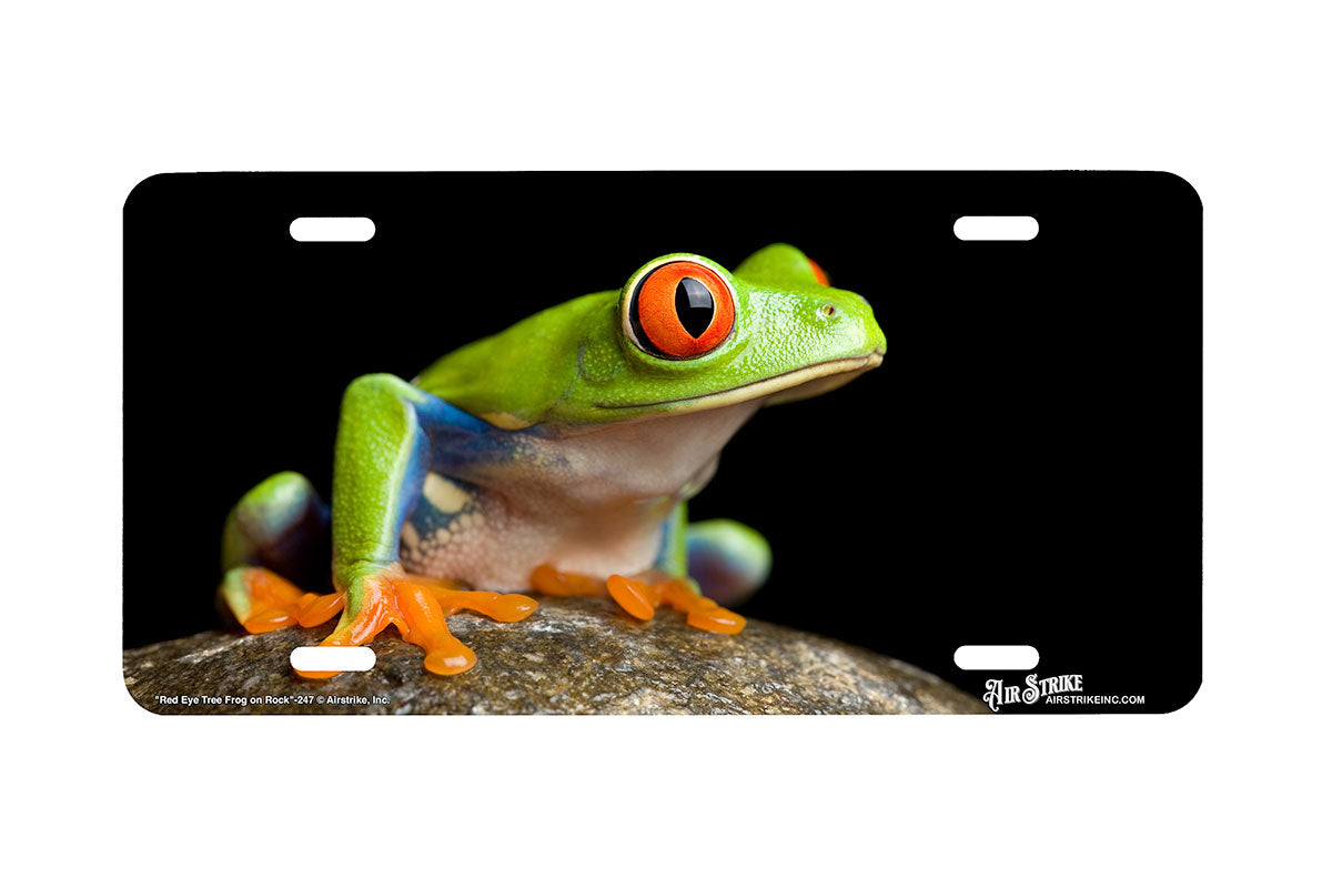 "Red Eye Tree Frog on Rock" - Decorative License Plate