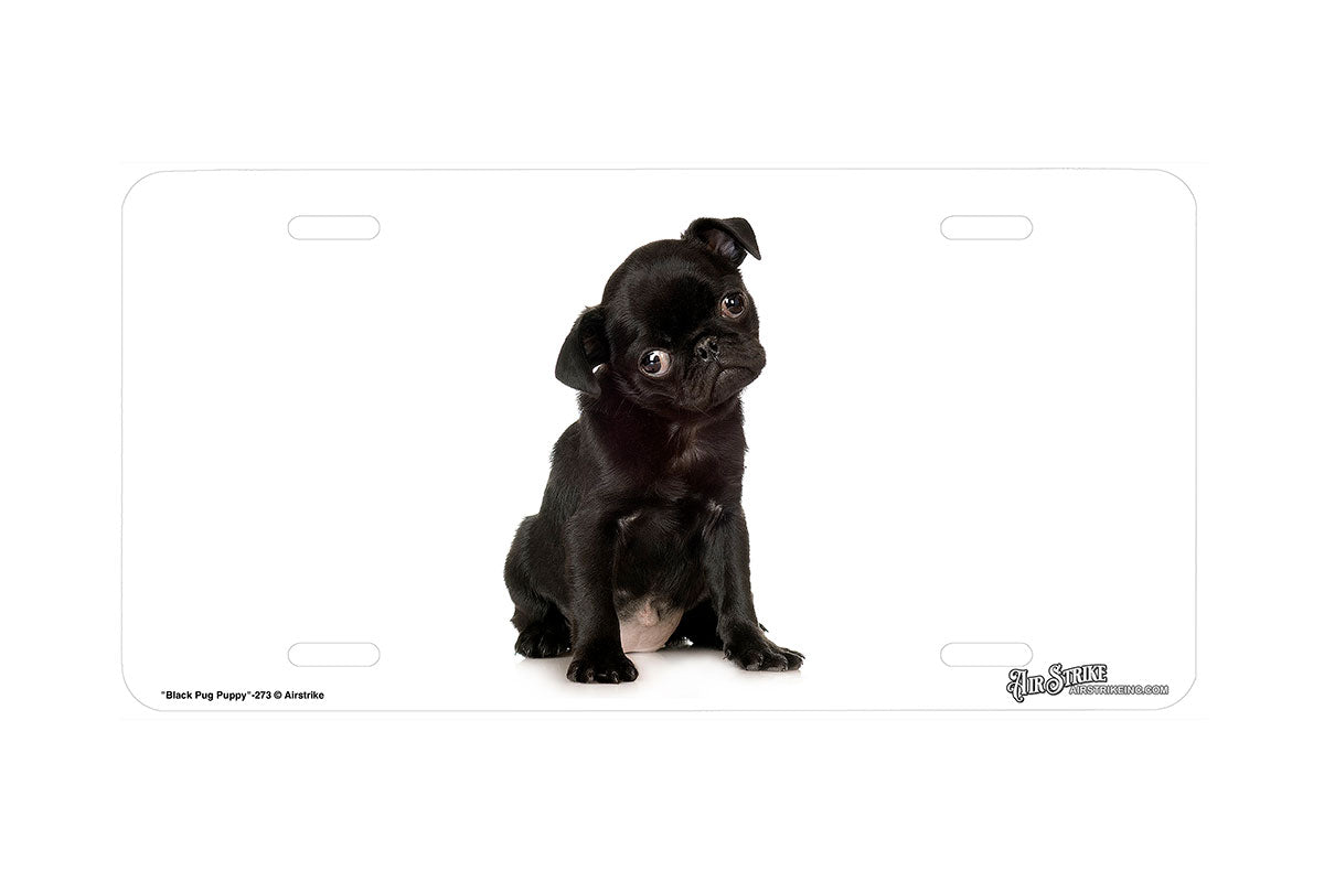 "Black Pug Puppy" - Decorative License Plate
