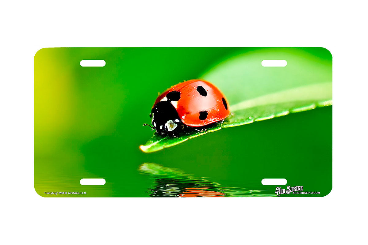 "Ladybug" - Decorative License Plate