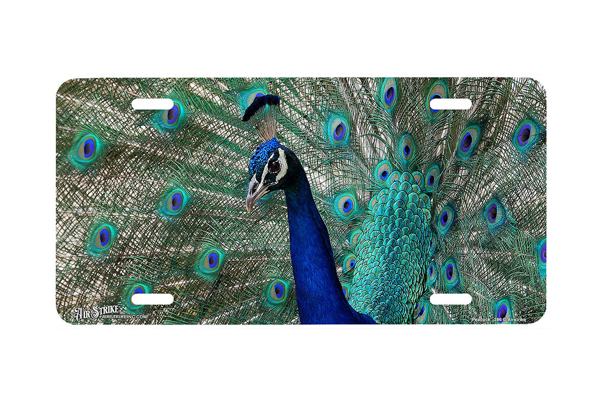 "Peacock" - Decorative License Plate