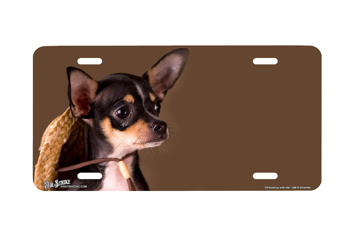 "Chihuahua with Hat" - Decorative License Plate