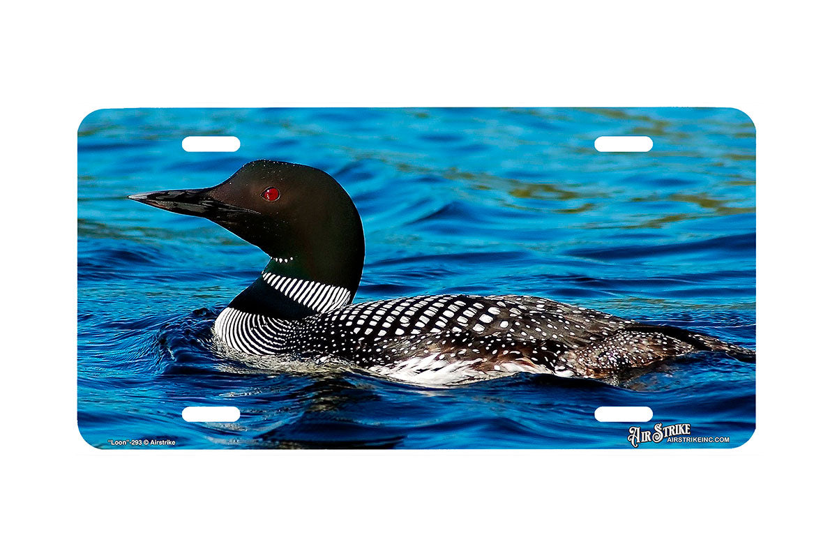 "Loon" - Decorative License Plate