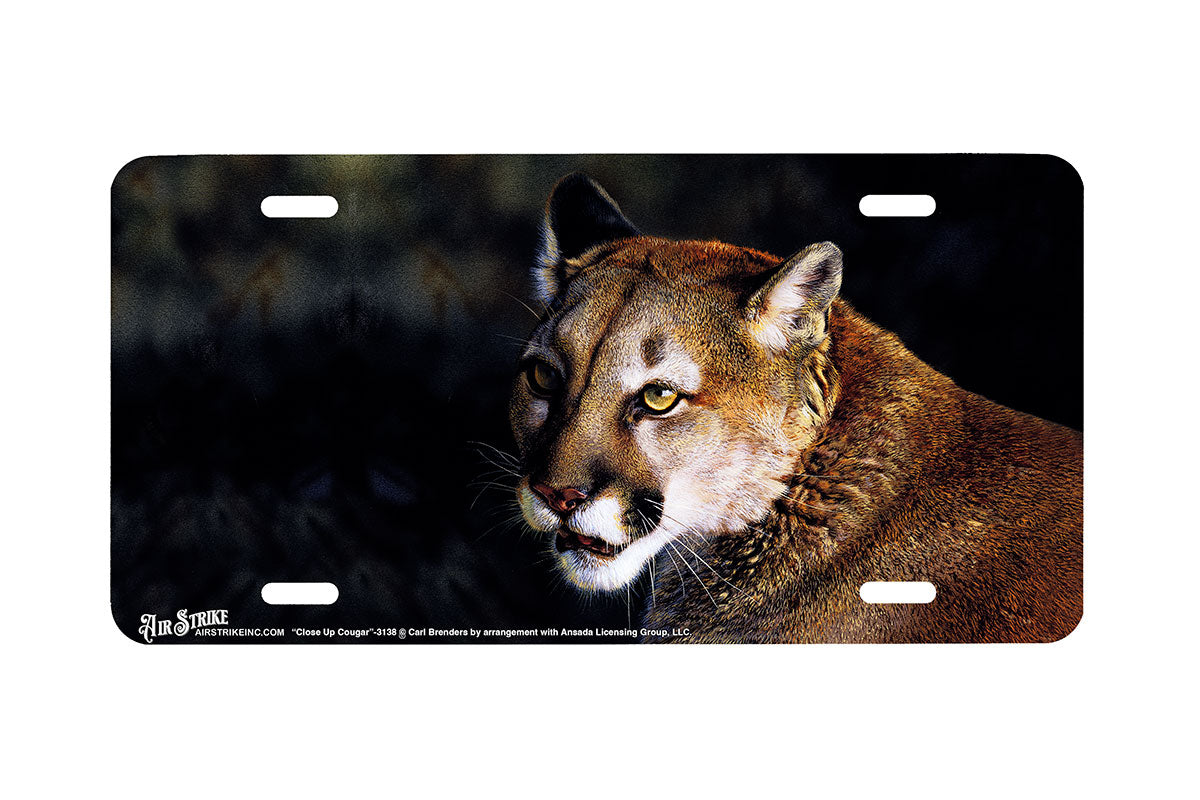 "Close Up Cougar" - Decorative License Plate