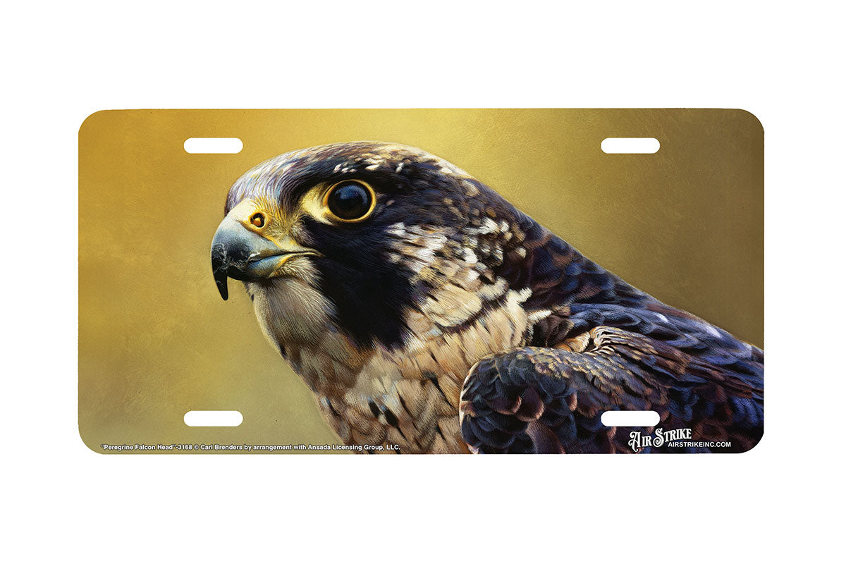 "Peregrine Falcon Head" - Decorative License Plate