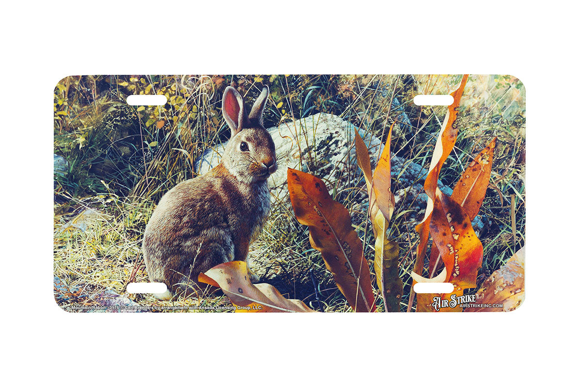 "Mountain Rabbit" - Decorative License Plate