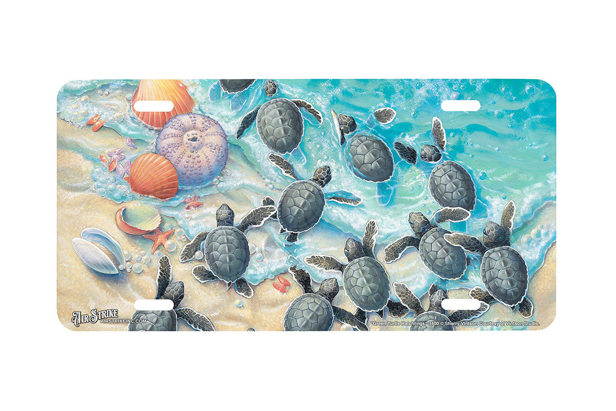 "Green Turtle Hatchlings" - Decorative License Plate