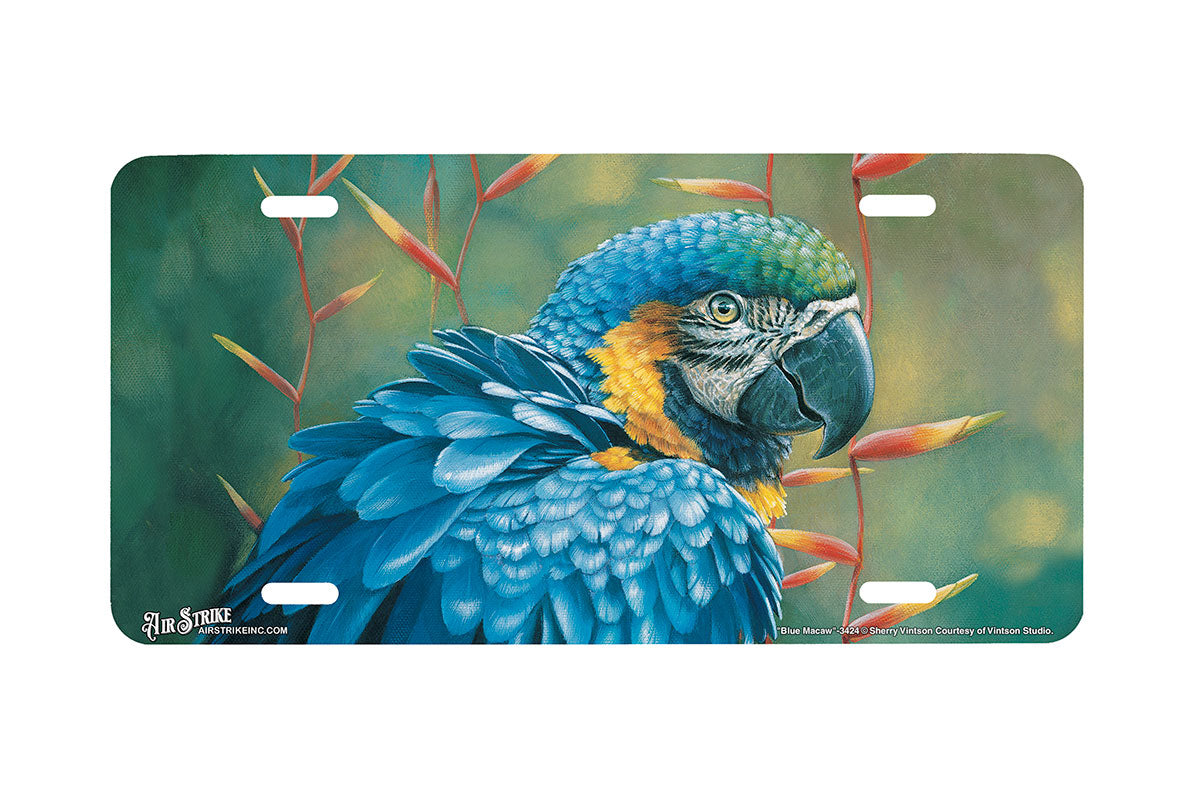 "Blue Macaw" - Decorative License Plate