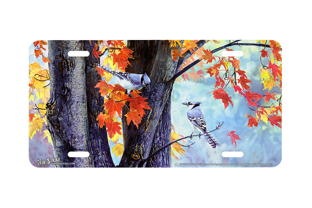 "Fall Colors" - Decorative License Plate