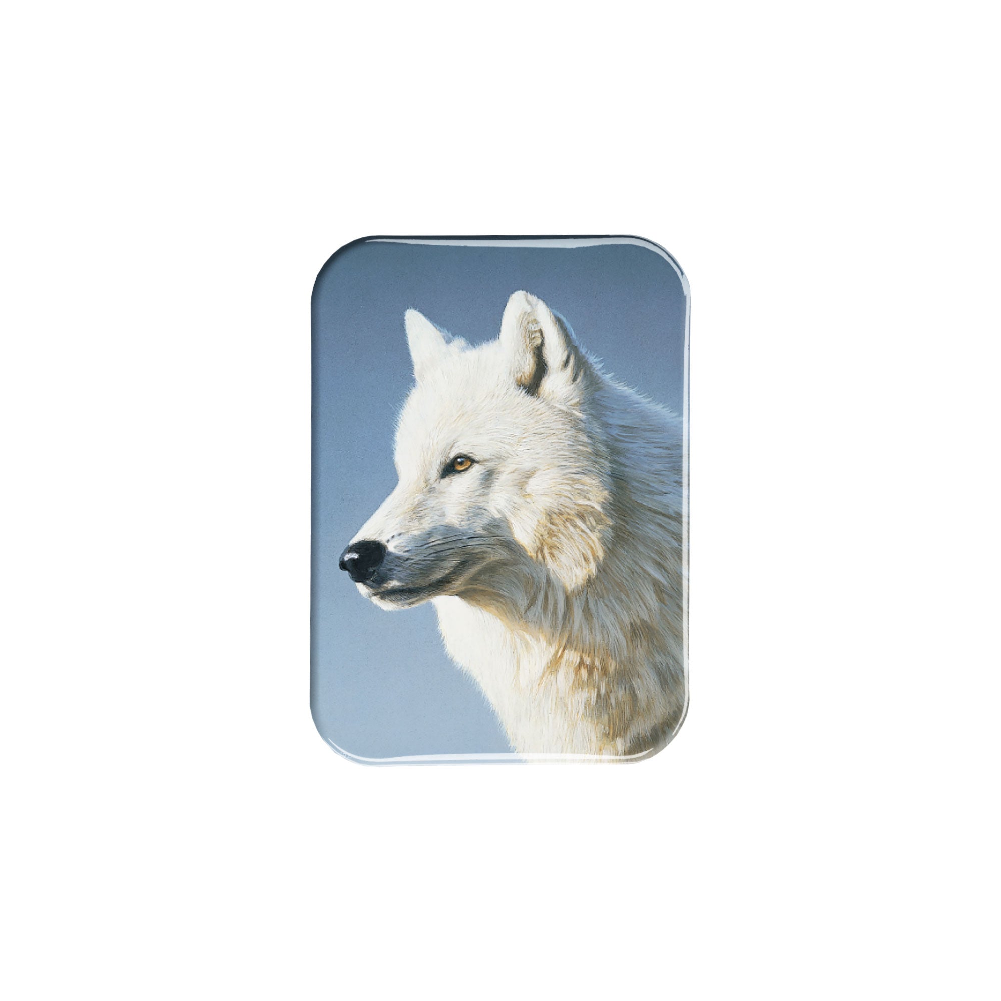 "Artic Wolf Portrait" - 2.5" X 3.5" Rectangle Fridge Magnets