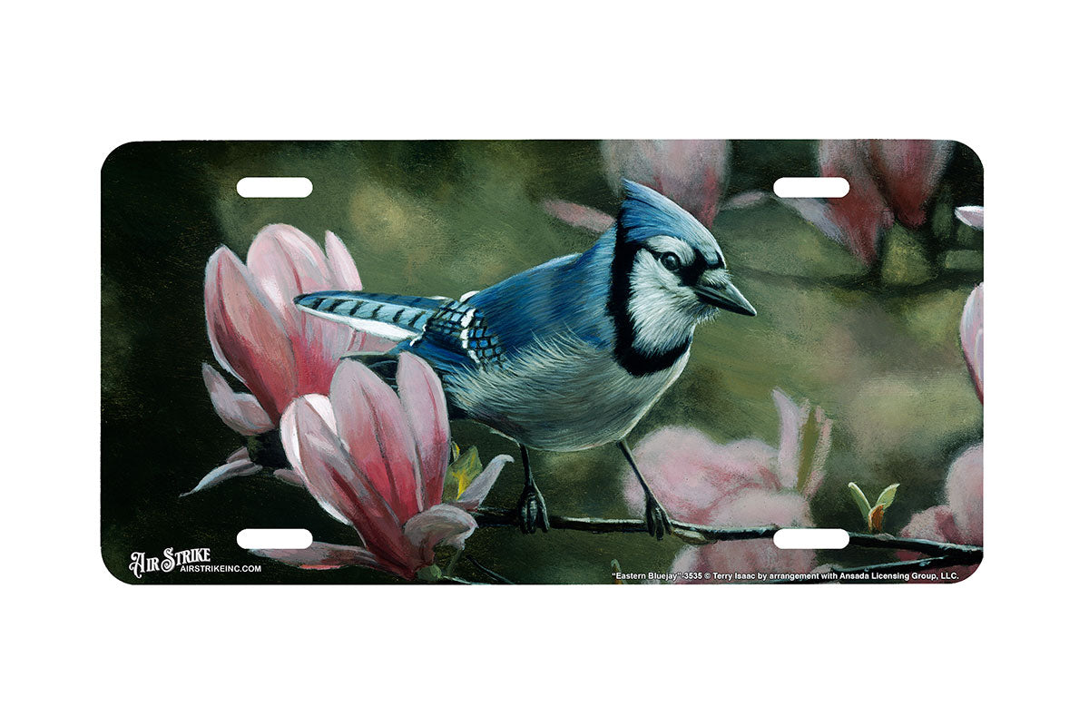 "Eastern Bluejay" - Decorative License Plate