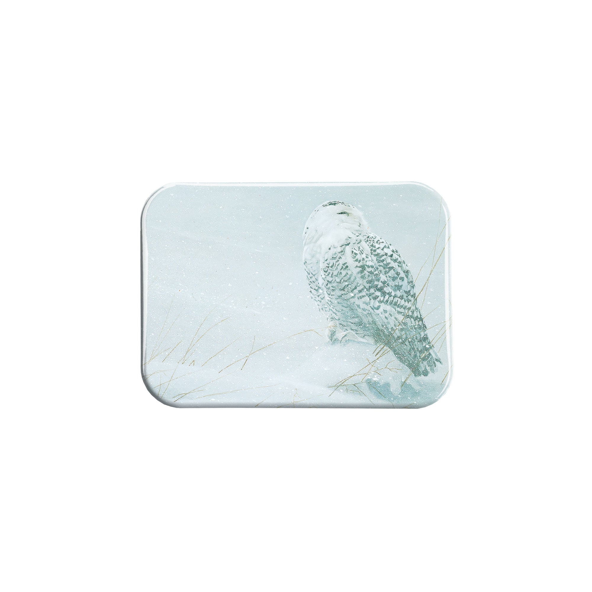 "Snowy Owl" - 2.5" X 3.5" Rectangle Fridge Magnets