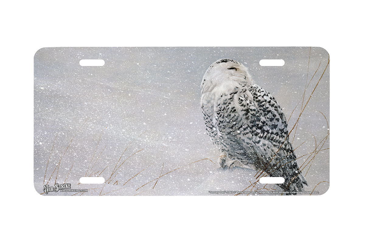 "Snowy Owl" - Decorative License Plate