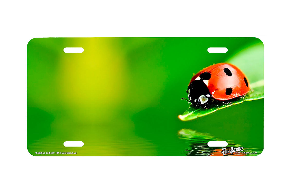 "Ladybug on Leaf" - Decorative License Plate