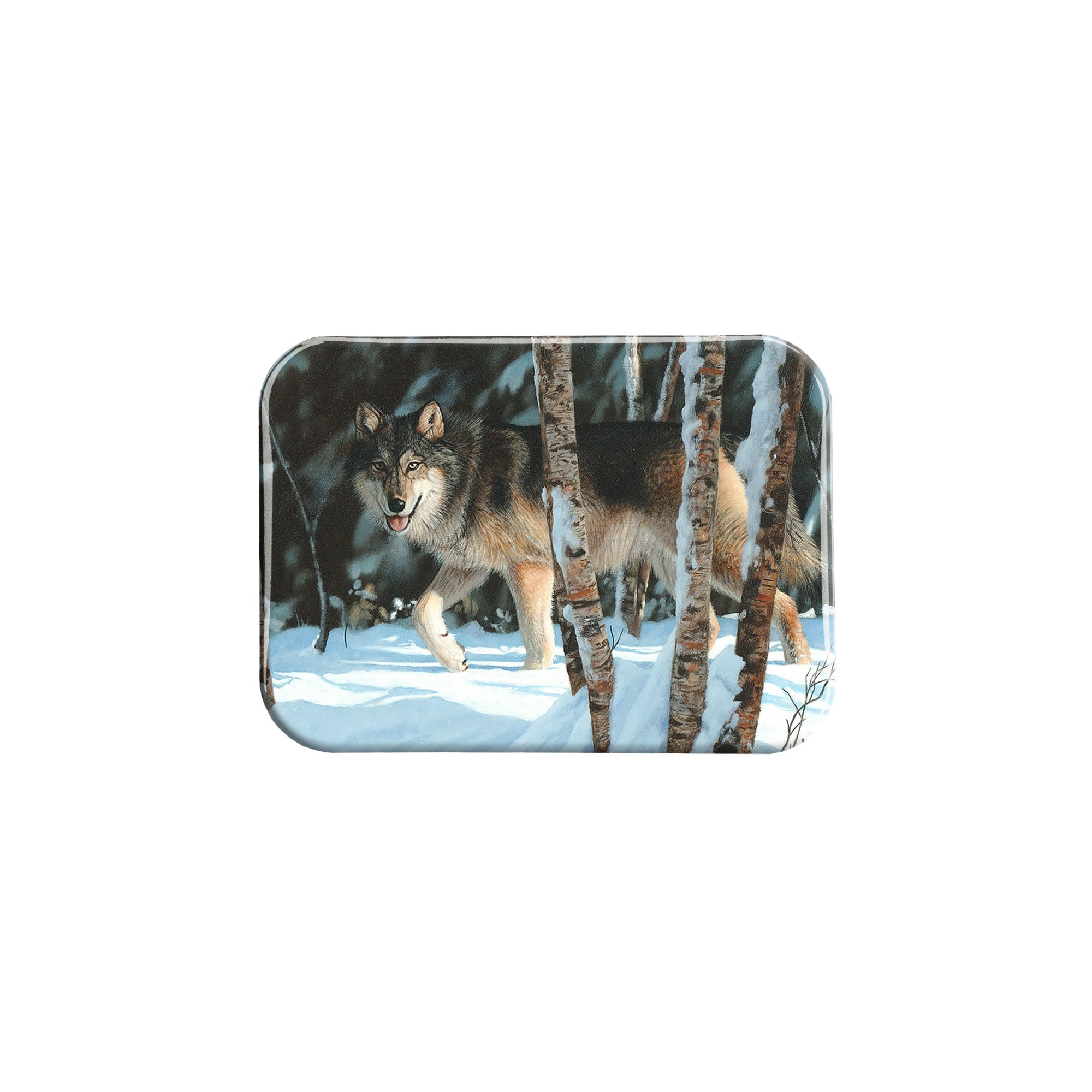 "Icy Stare" - 2.5" X 3.5" Rectangle Fridge Magnets