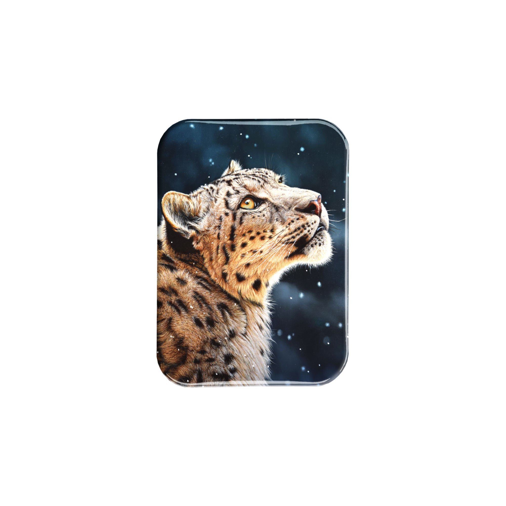 "Snow Leopard" - 2.5" X 3.5" Rectangle Fridge Magnets