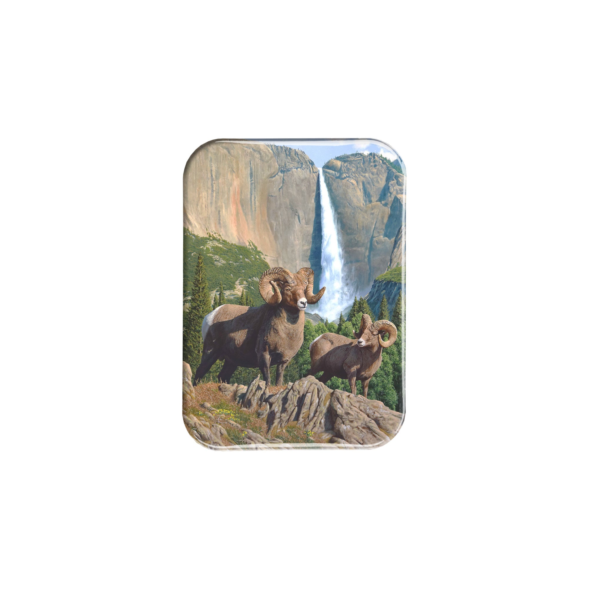 "Heights of Summer" - 2.5" X 3.5" Rectangle Fridge Magnets