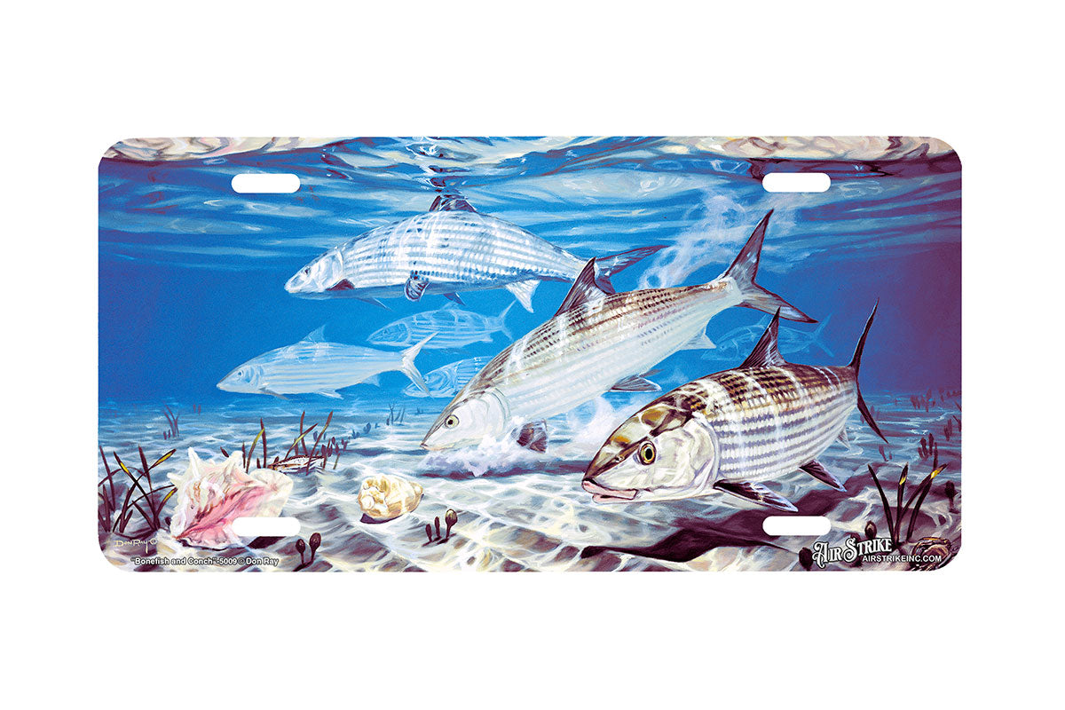 "Bonefish And Conch" - Decorative License Plate