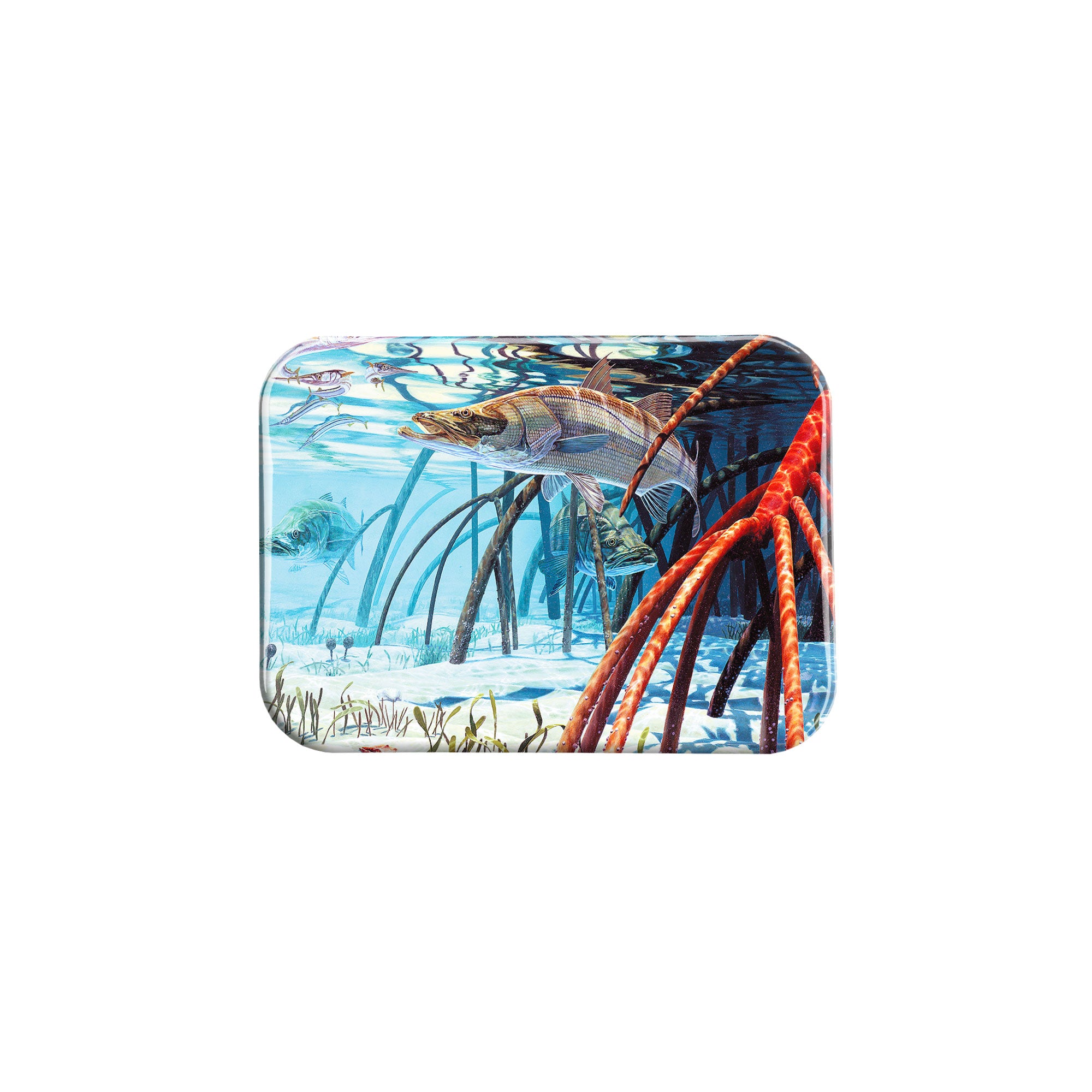 "Snook In The Mangroves" - 2.5" X 3.5" Rectangle Fridge Magnets