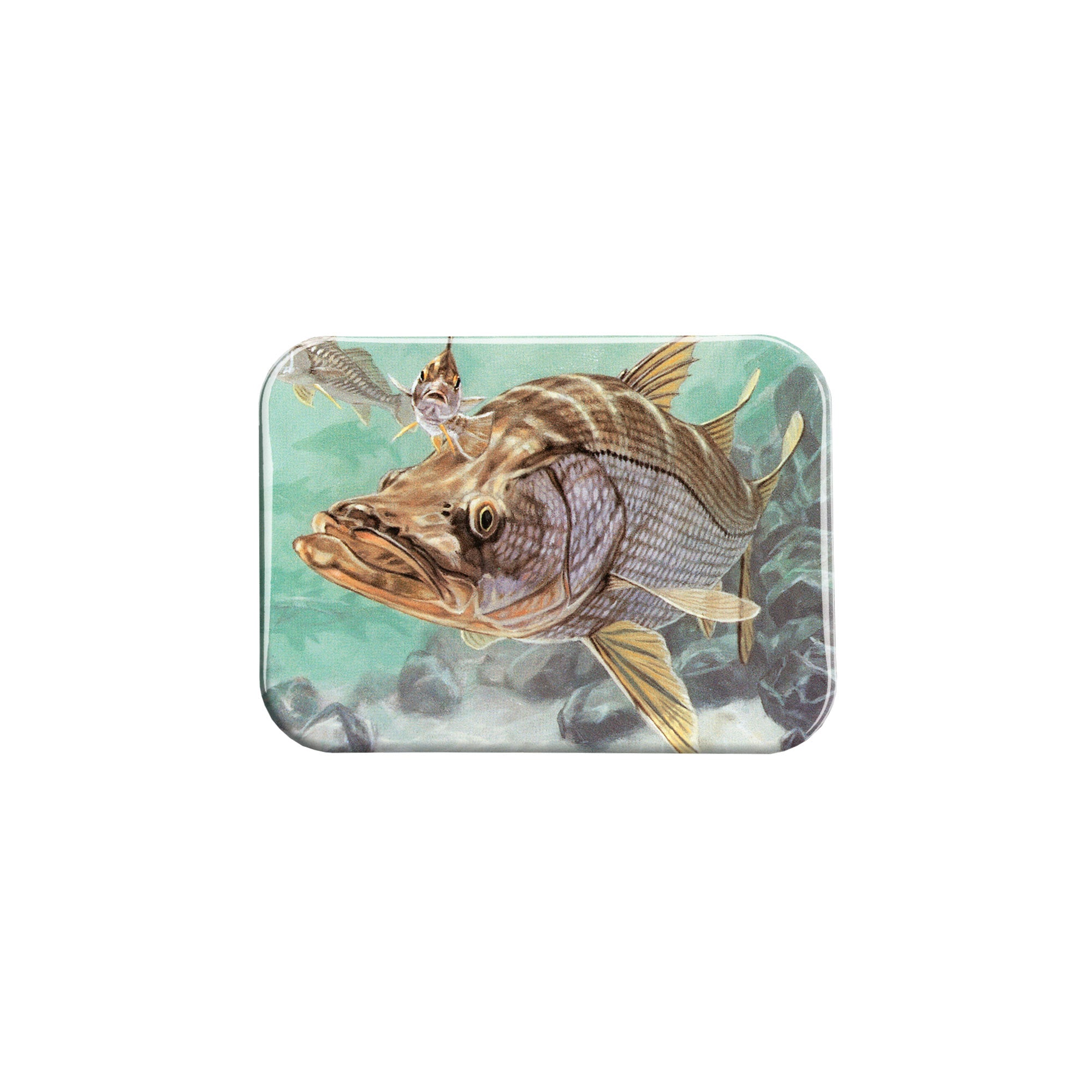 "Snook And Croakers" - 2.5" X 3.5" Rectangle Fridge Magnets