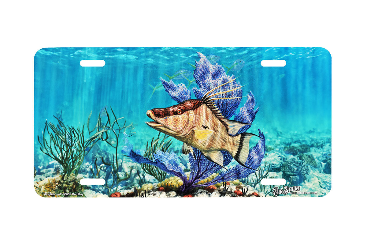 "Hogfish Reef" - Decorative License Plate