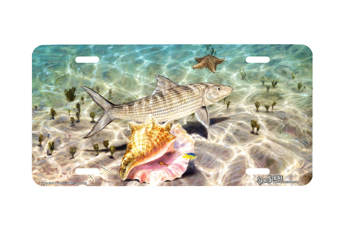 "Bonefish Conch" - Decorative License Plate