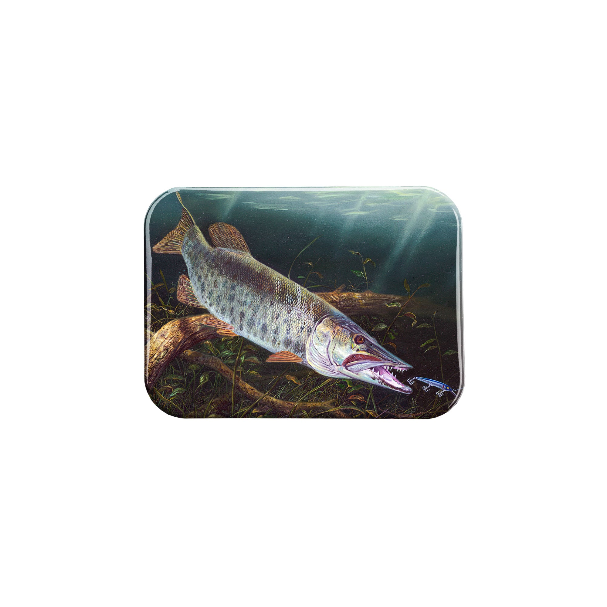 "A Muskie Lunging" - 2.5" X 3.5" Rectangle Fridge Magnets