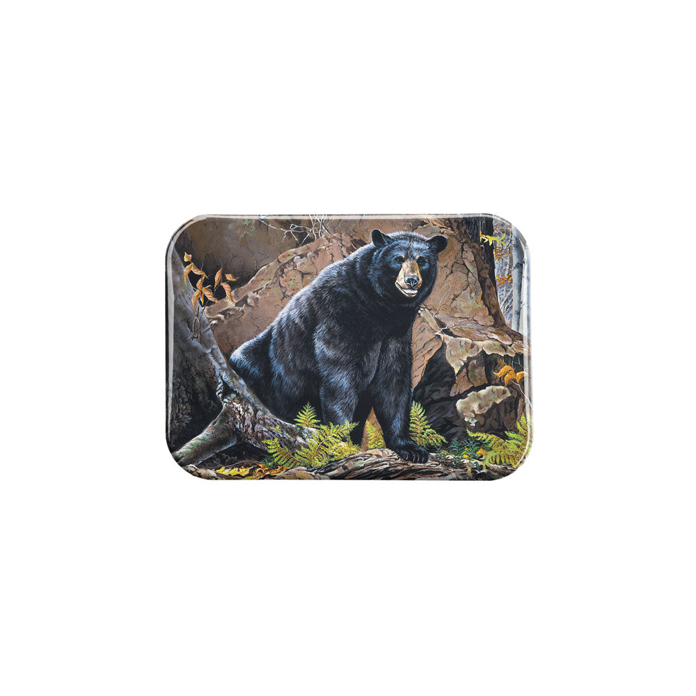 "Allegheny Black Bear" - 2.5" X 3.5" Rectangle Fridge Magnets