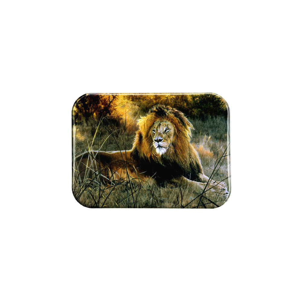 "Lion" - 2.5" X 3.5" Rectangle Fridge Magnets