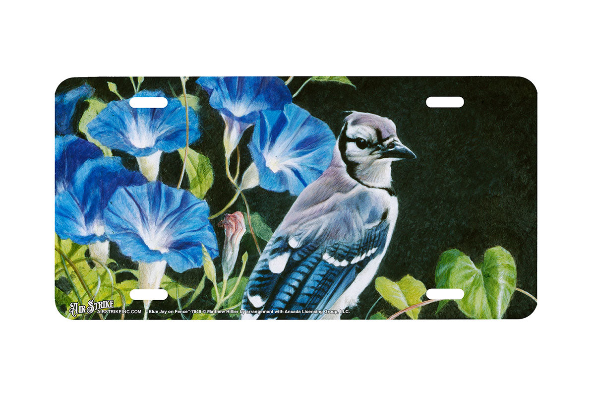 "Blue Jay on Fence" - Decorative License Plate