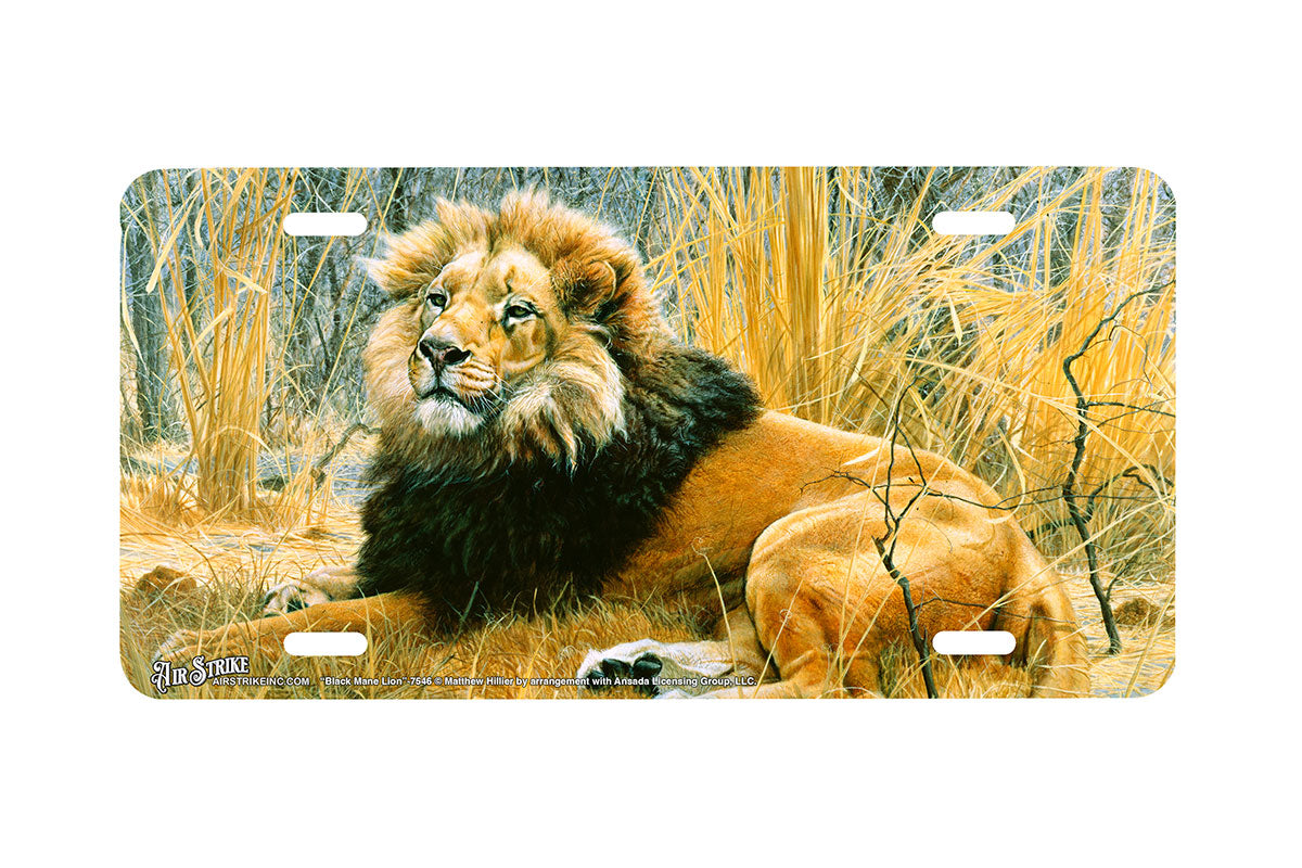 "Black Mane Lion" - Decorative License Plate