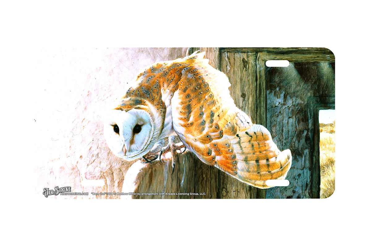 "Barn Owl" - Decorative License Plate