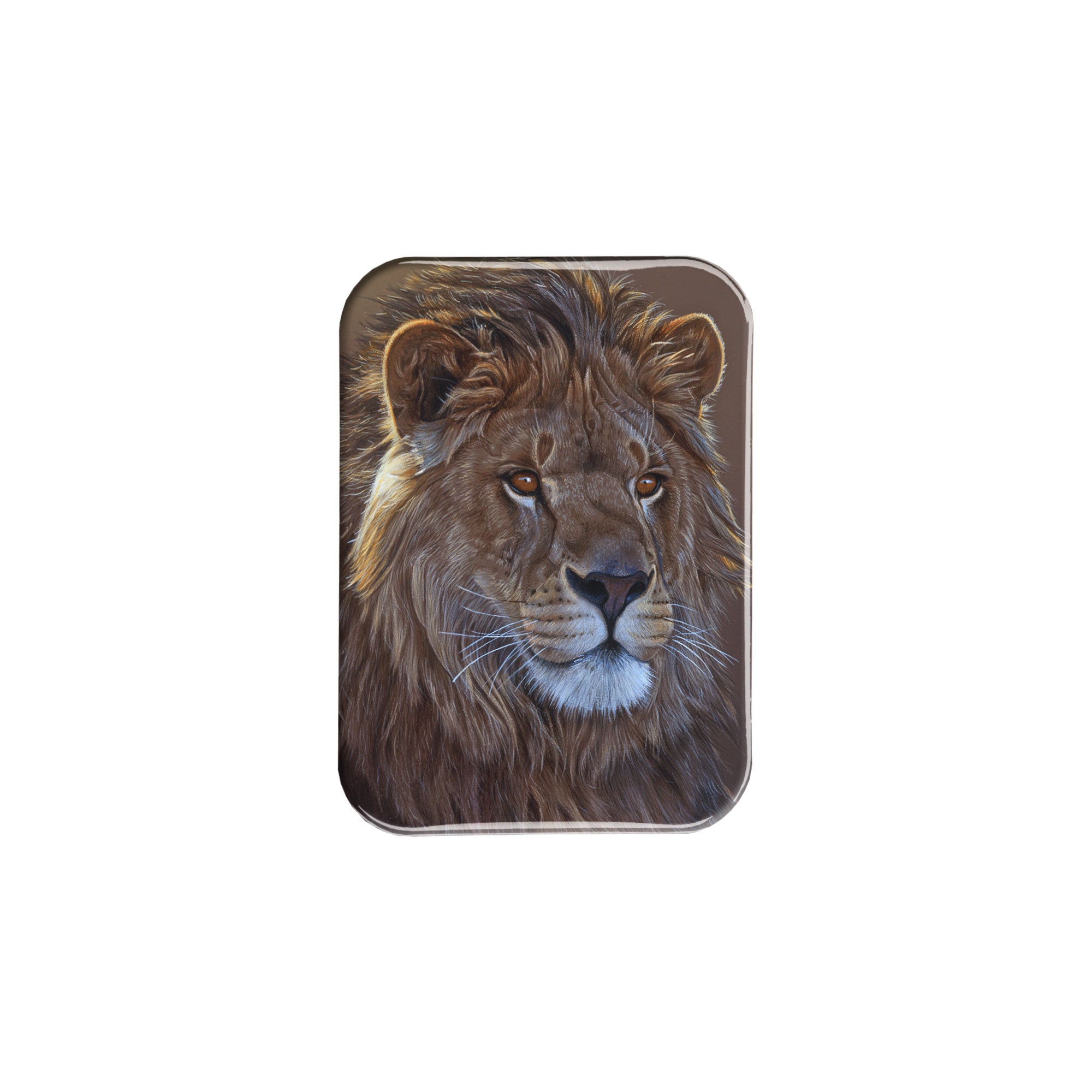 "Lion Portrait" - 2.5" X 3.5" Rectangle Fridge Magnets