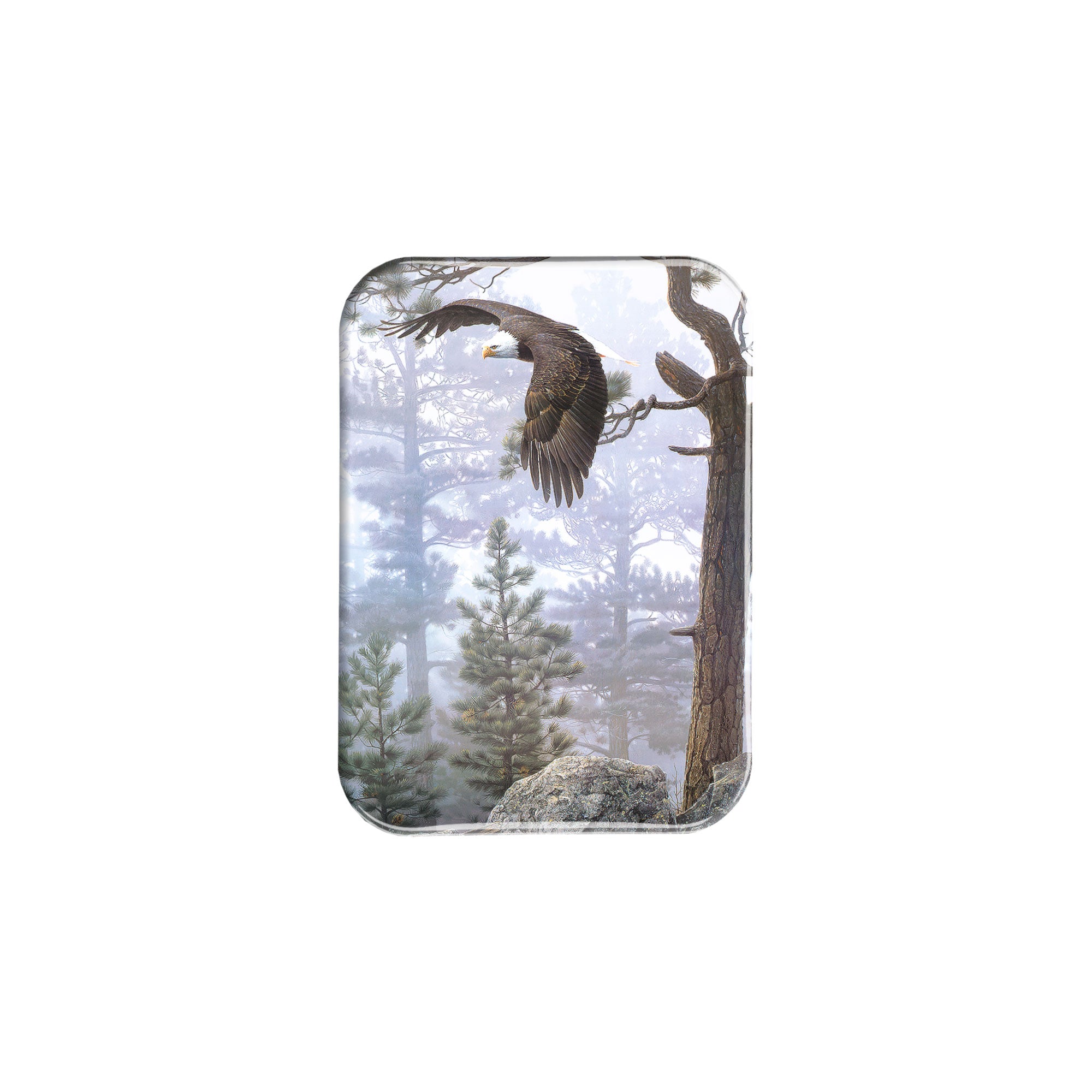 "Shrouded Forest" - 2.5" X 3.5" Rectangle Fridge Magnets