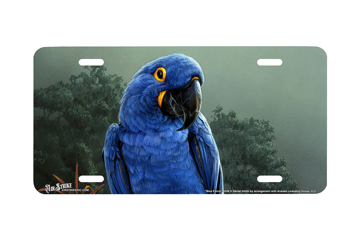 "Blue Parrot" - Decorative License Plate