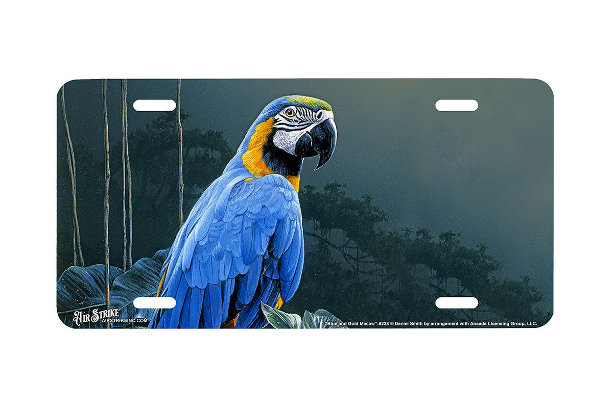"Blue and Gold Macaw" - Decorative License Plate