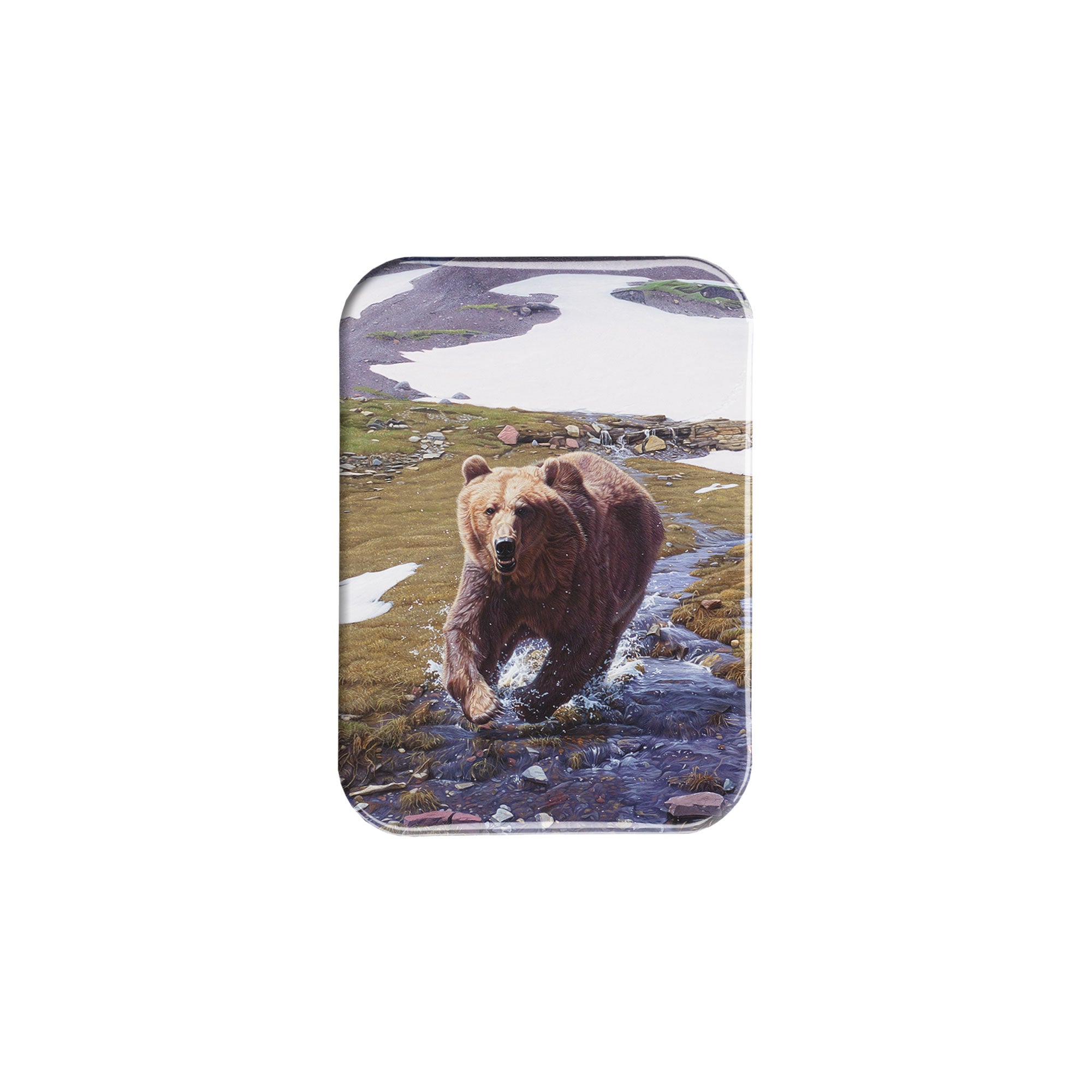 "High Country" - 2.5" X 3.5" Rectangle Fridge Magnets