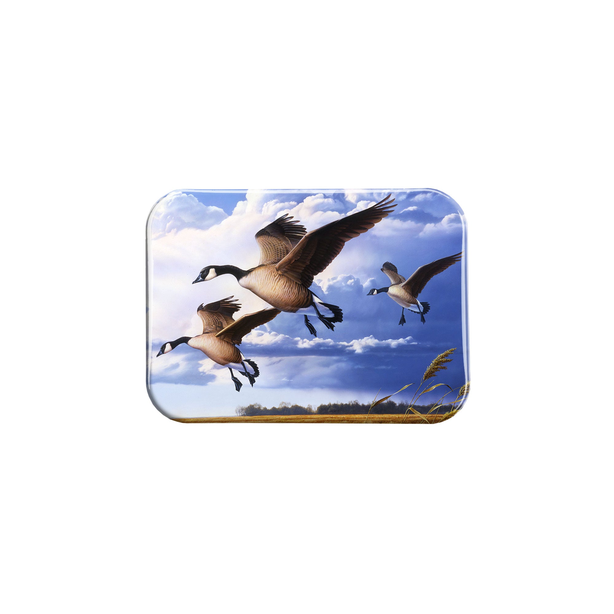 "Geese" - 2.5" X 3.5" Rectangle Fridge Magnets