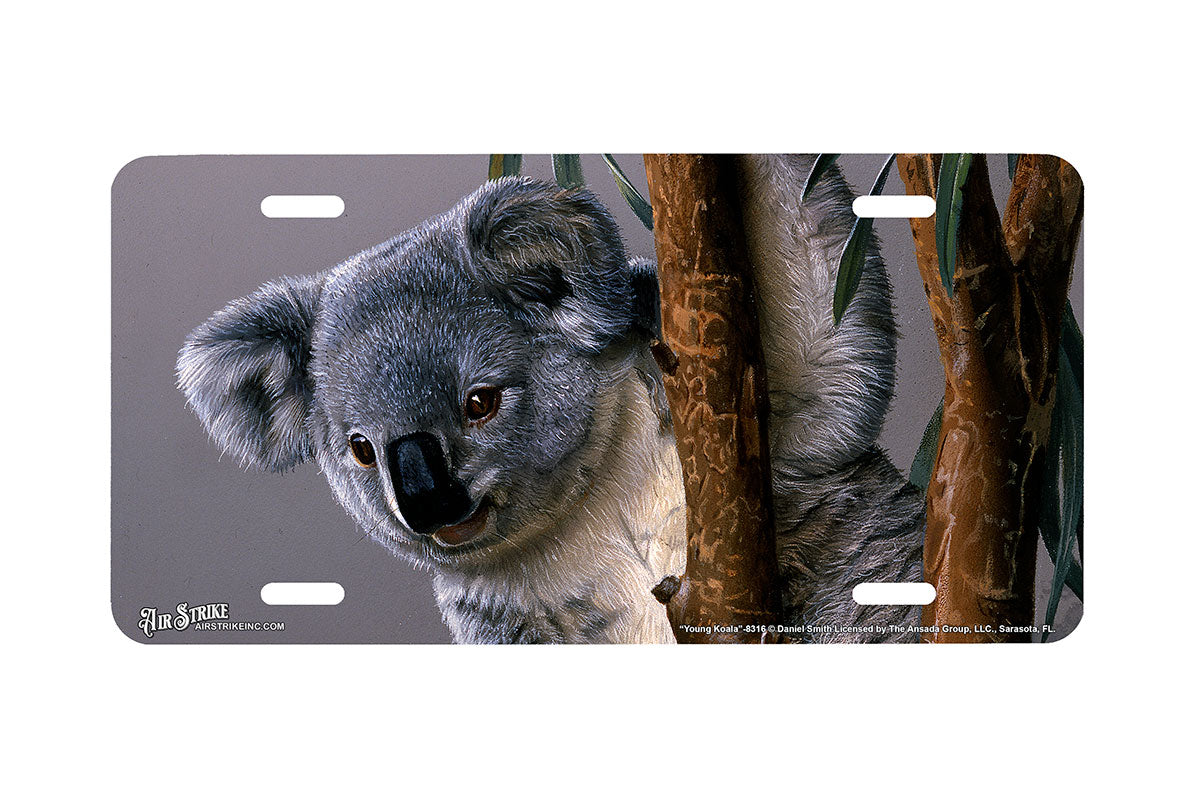"Young Koala" - Decorative License Plate