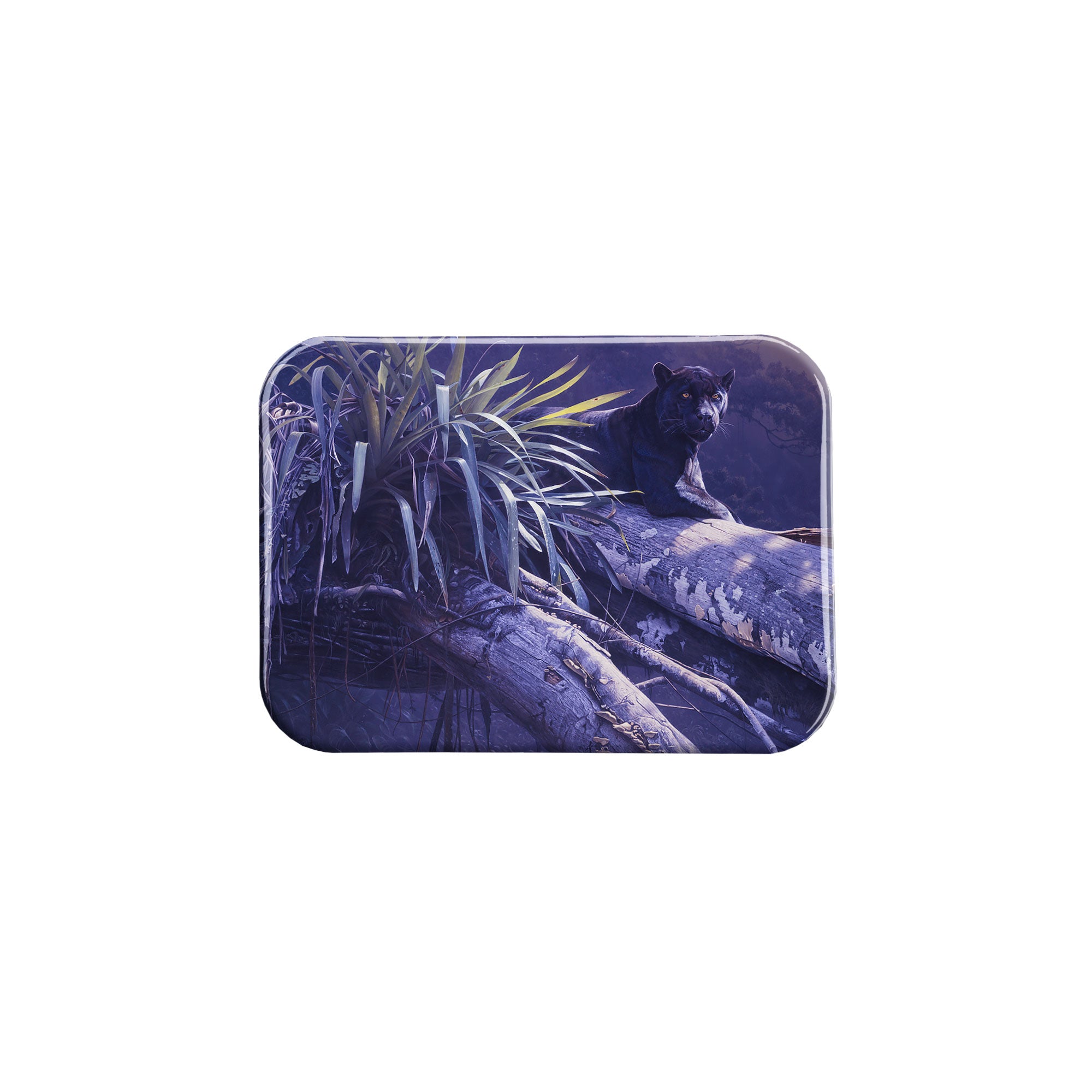 "Apparition of the Amazon" - 2.5" X 3.5" Rectangle Fridge Magnets