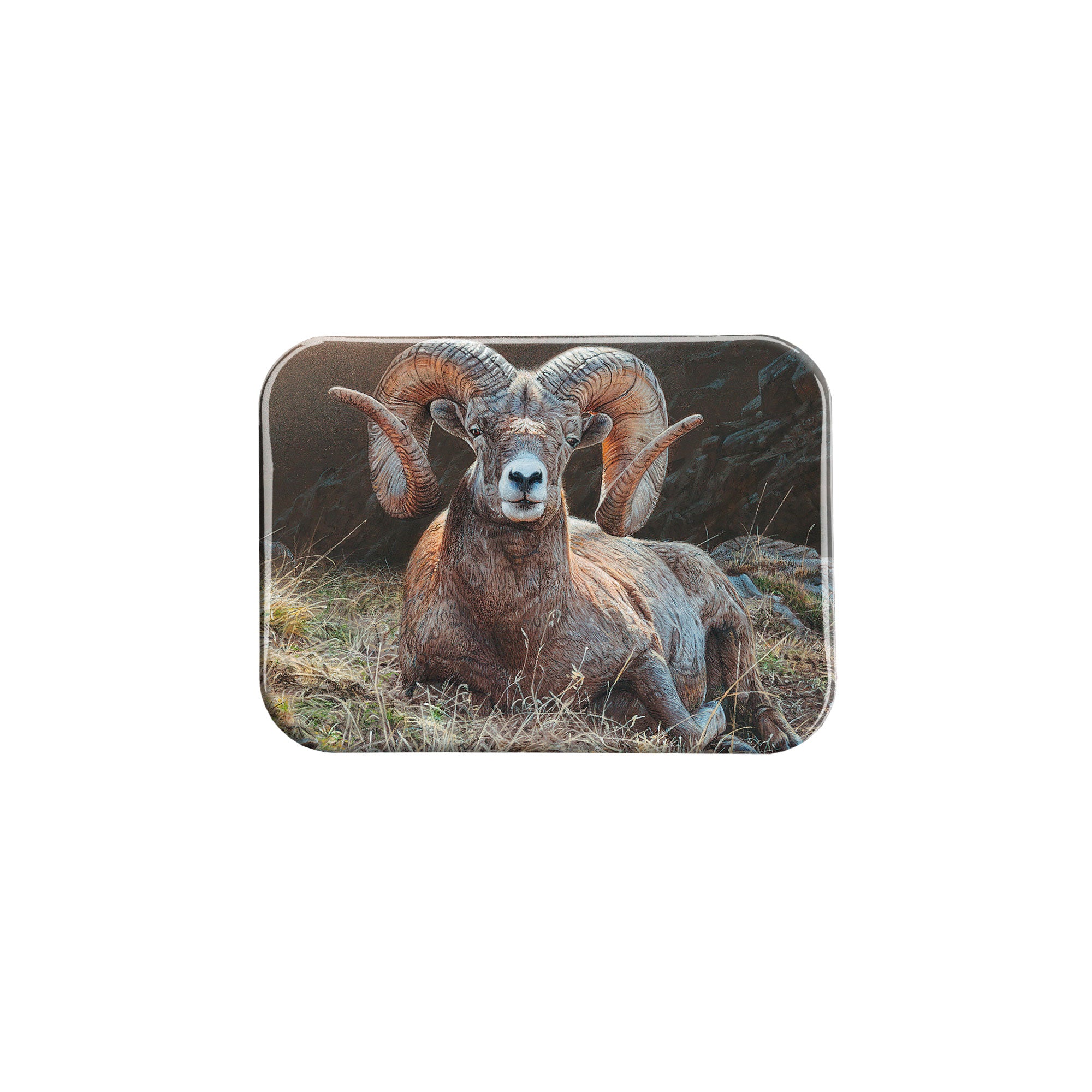 "High Country Repose" - 2.5" X 3.5" Rectangle Fridge Magnets