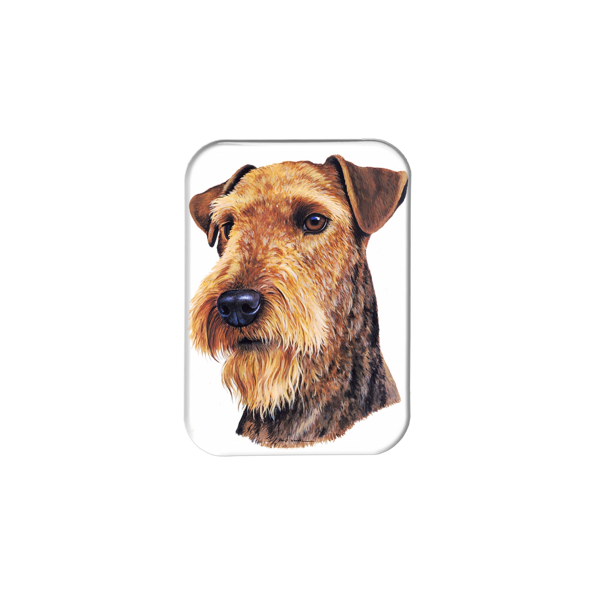 "Airedale Terrier" - 2.5" X 3.5" Rectangle Fridge Magnets