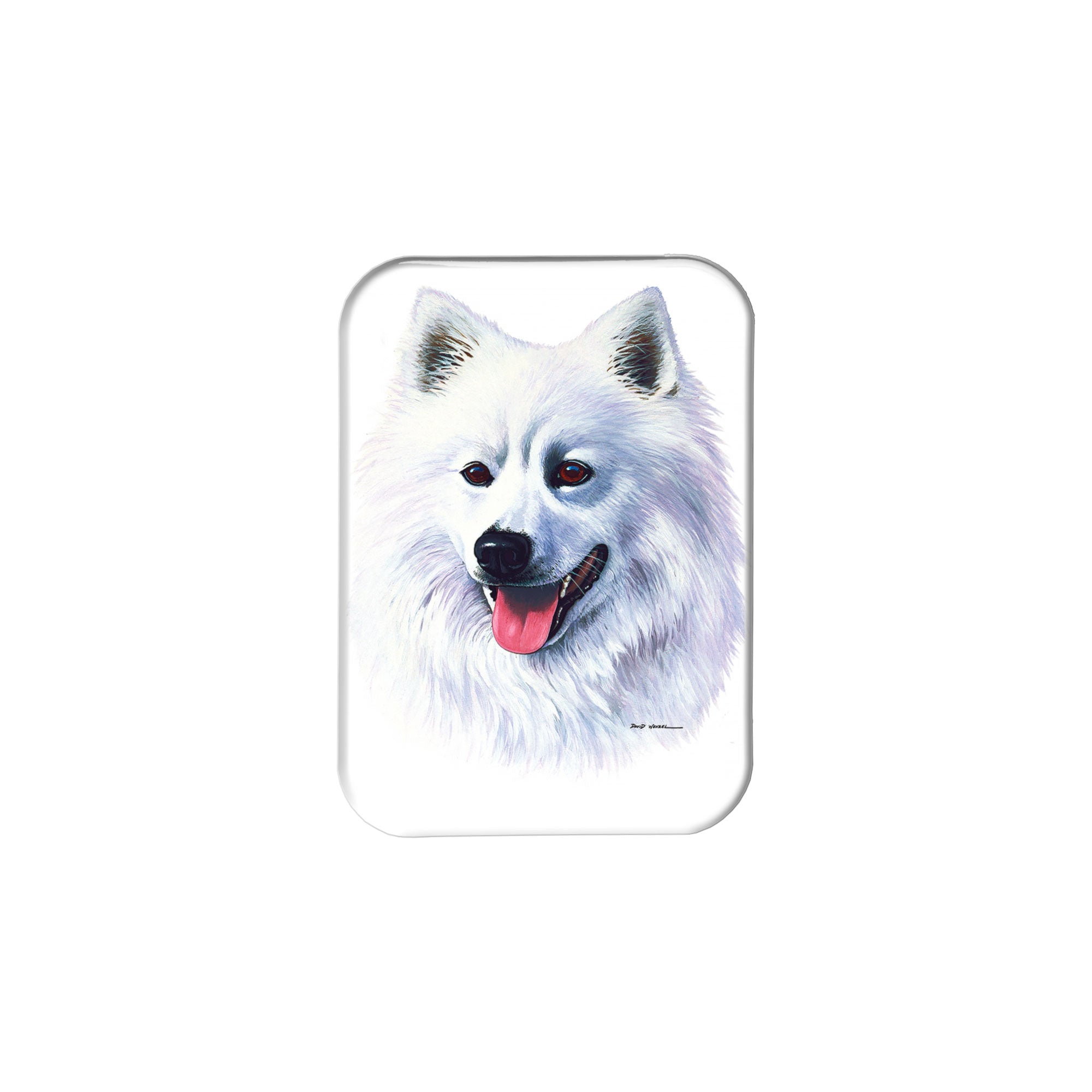 "American Eskimo Dog" - 2.5" X 3.5" Rectangle Fridge Magnets