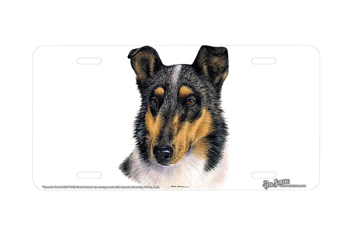 "Smooth Coat Collie" - Decorative License Plate
